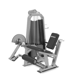 Leg Extension
