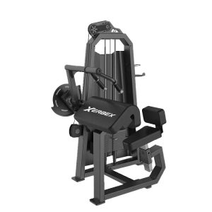 Triceps Extension