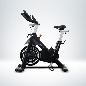 Alternative view of XBS-10