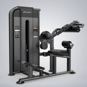 Abdominal & Back Extention