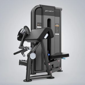 Biceps Curl