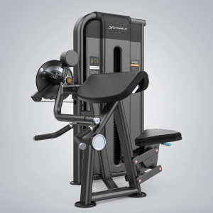 Camber Curl & Triceps
