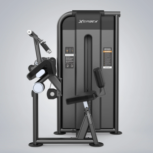 Alternative view of Triceps Extension