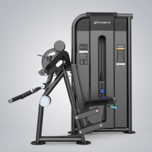Alternative view of Camber Curl & Triceps