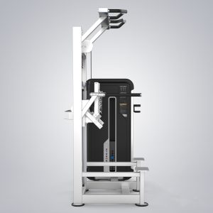 Alternative view of XMA-209 Dip/Chin Assist