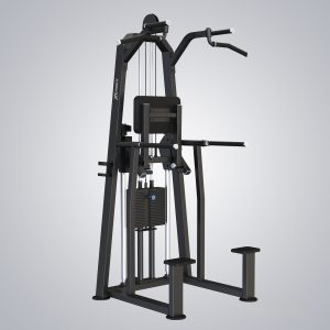 U3009-Dip / Chin Assist