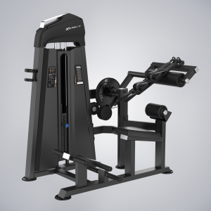 U3088C-Abdominal & Back Extension