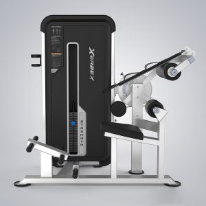 Alternative view of XMA-288 Abdominal & Back Extension